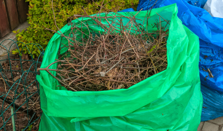 Yard Cleanup
